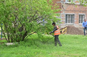 Саратовцев пригласили на Всероссийский субботник