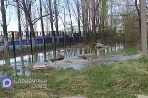 Возле саратовской школы забил коммунальный гейзер, жильцы соседнего дома опасаются обрушения