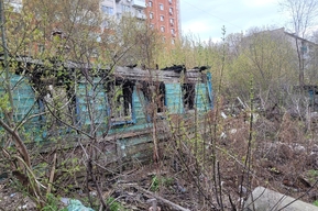 Жители 2-й Садовой просят власти сделать сквер на месте сгоревших домов