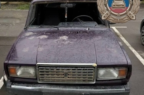 Под Саратовом под колеса легковушки попала 19-летняя девушка