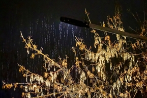 Штормовой ветер и дождь: рассказываем, каким будет начало следующей недели в Саратовской области