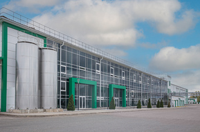 В Энгельсе открылась одна из крупнейших в России фабрика мороженого «Белая Долина»