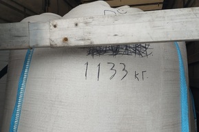 В Саратовскую область не пустили семена «неувядающего цветка»