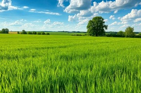 В регионе изменили закон «О земле»: что это значит