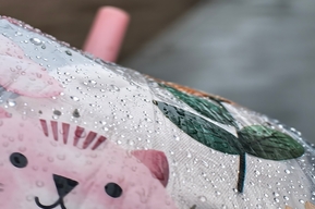 Дождь и до 5 градусов мороза: в ГУ МЧС рассказали, какая погода ожидается в последний день уходящего месяца