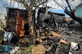 Балашовец разжег костер для шашлыка, спалил сарай и получил ожоги
