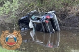 Mercedes на трассе врезался в лося и вылетел в кювет: есть пострадавшие