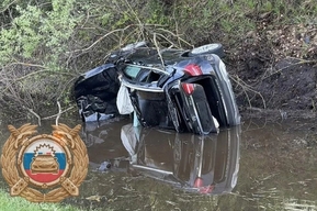 Mercedes на трассе врезался в лося и вылетел в кювет: есть пострадавшие