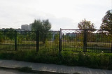 Власти решили высадить деревья в парке, который пытались отдать в концессию