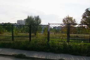 Власти решили высадить деревья в парке, который пытались отдать в концессию