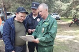 За праздники семь саратовцев поймали за разведение костров в лесу, их оштрафуют минимум на 40 тысяч