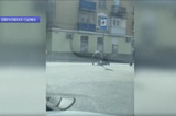 «Чтобы не брать грех на душу»: нетрезвый мужчина украл из квартиры золото, а затем якобы выкинул его в мусорку