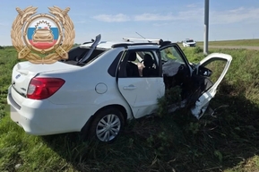 Легковушка врезалась в билборд