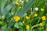 Столбик термометра в Саратовской области может подняться до +33