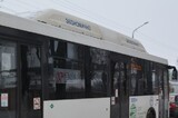 Власти отменили 28 автобусных маршрутов в Саратовской области