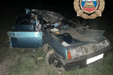 Молодые люди попали в больницу после аварии с лосём в Хвалынском районе