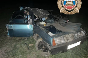 Молодые люди попали в больницу после аварии с лосём в Хвалынском районе