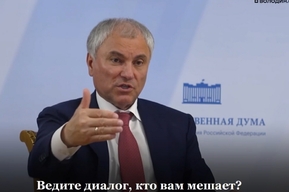 Володин назвал дату возобновления работы двух закрытых птицефабрик в регионе