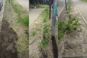 «Земля потрескалась»: в сквере в Улешах, где находится мемориал «Защитникам саратовского неба», не включают автополив