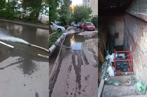 «Сырость и вонь, влага»: жуткая девятиэтажка с затопленным подвалом привлекла внимание следователей