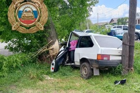 ВАЗ врезался в дерево, пострадал 13-летний мальчик