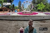 Экоцид в День эколога: что творит мэрия Саратова на особо охраняемой природной территории на глазах у всего города