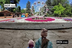 Экоцид в День эколога: что творит мэрия Саратова на особо охраняемой природной территории на глазах у всего города