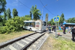 В Заводском районе автобус протаранил дерево: есть пострадавшие