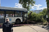 В Саратове автобус въехал в дерево: решается вопрос о возбуждении уголовного дела