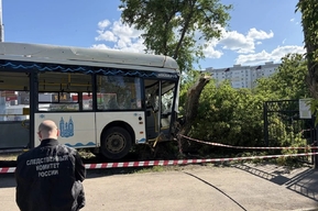 В Саратове автобус въехал в дерево: решается вопрос о возбуждении уголовного дела