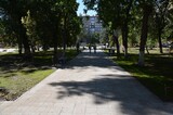 Летняя библиотека в Саратове: будут квест, рисунки на асфальте и «Мир путешествий»