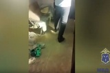 Дачник вырастил в теплице 20 запрещённых кустов и поплатился