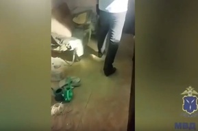 Дачник вырастил в теплице 20 запрещённых кустов и поплатился