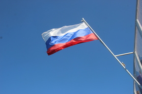 День России в Саратове: опубликован график работы ветеринаров, автоинспекторов и центров «Мои Документы»
