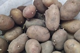 За неделю подорожавших продуктов в регионе оказалось в два раза больше, чем подешевевших