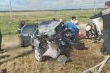 Шесть человек погибли и двое пострадали в автокатастрофе в Дергачевском районе