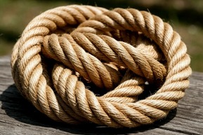 Житель региона и его сообщник связали женщину в Кабардино-Балкарии из-за 15 тысяч рублей