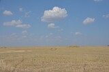 В поле нашли человеческие кости