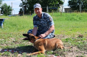 Служебные собаки показали навыки поиска наркотиков, взрывчатки и людей (их напарникам вручили бытовую технику)