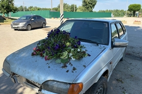 Вандалы вырвали цветы с клумбы и закидали ими разбитый автомобиль