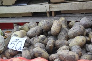 За неделю в регионе сильнее всего подорожал картофель, подешевели — огурцы: актуальные цены