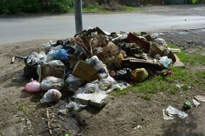 В одном из районов Саратова уберут 450 тонн «несанкционированного» мусора