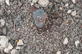 «Места для выгула нет, а запреты есть»: горожанка показала, где саратовцы вынуждены проводить время с собаками