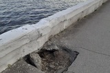 Дама из Санкт-Петербурга осталась недовольна «упадком» Саратова, прогулявшись по набережной