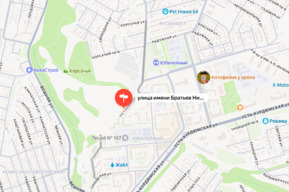 Пенсионерка решила проголосовать за благоустройство улицы имени Братьев Никитиных и лишилась почти пяти миллионов