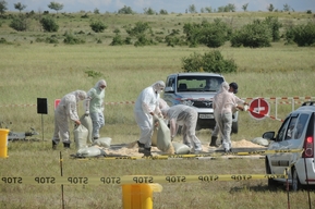 На борьбу с особо опасным заболеванием в Вольском районе собрались специалисты из пяти областей