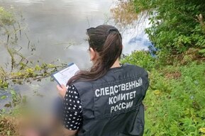 В пруду нашли тело неизвестного мужчины: устанавливаются обстоятельства трагедии