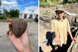 Раскопки в районе Укека: саратовец сделал археологам неожиданный подарок — отдал сфероконус для ртути