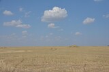 Жителей Саратовской области ждет очередной жаркий день: будет до плюс 36 градусов, вероятны дождь и гроза