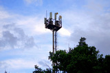 МТС обеспечила связью LTE один из крупнейших тепличных комплексов Саратовской области